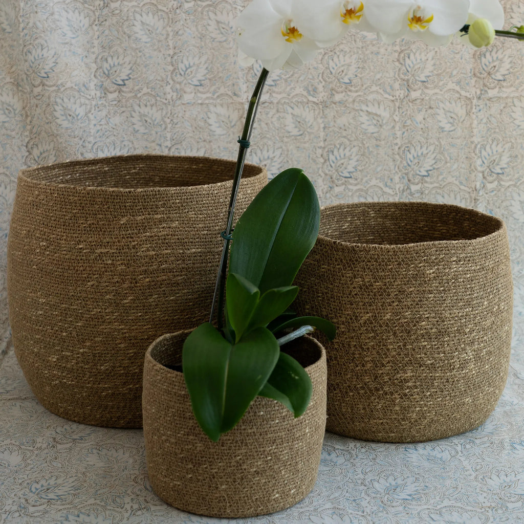 Cesto Galaxi em Seagrass