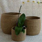Cesto Galaxi em Seagrass