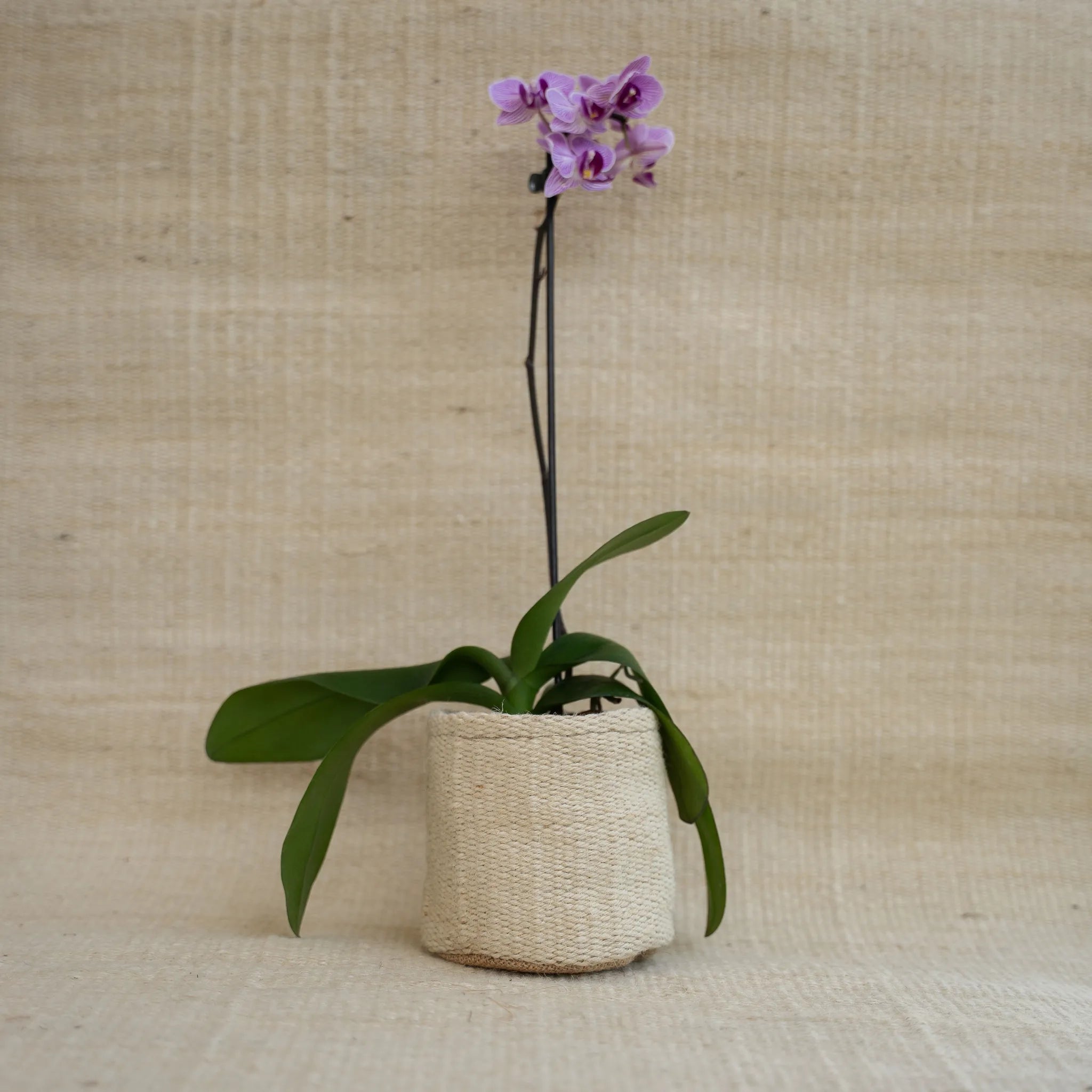 Cesta Lilit em Juta