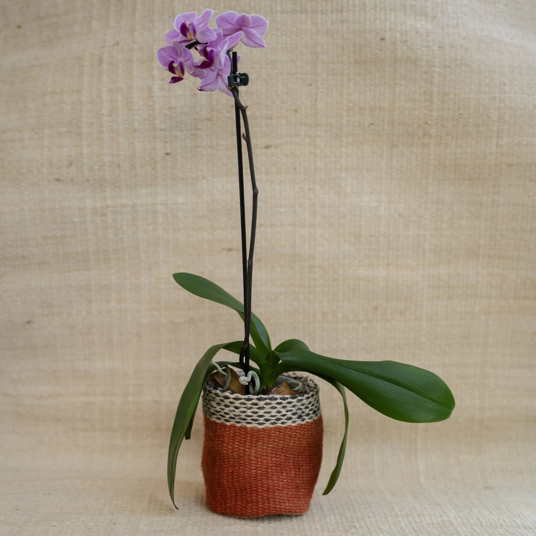 Cesta Lilit em Juta
